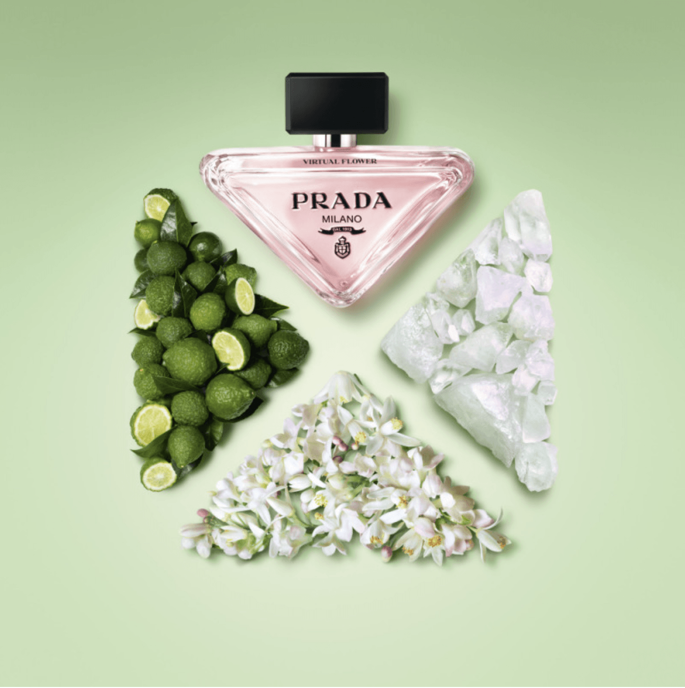 Prada Paradoxe - Virtual Flower-Parfumerie Olara-1