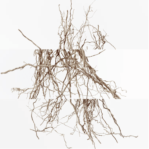 Hermès Terre d'Hermès - Intense vetiver fragrance