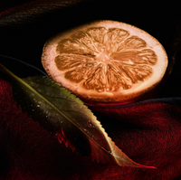 Habit Rouge Rouge Privé - Eau de Parfum