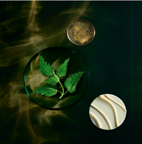 Shiseido Primer FSLX Base traitement infinie - Base de teint