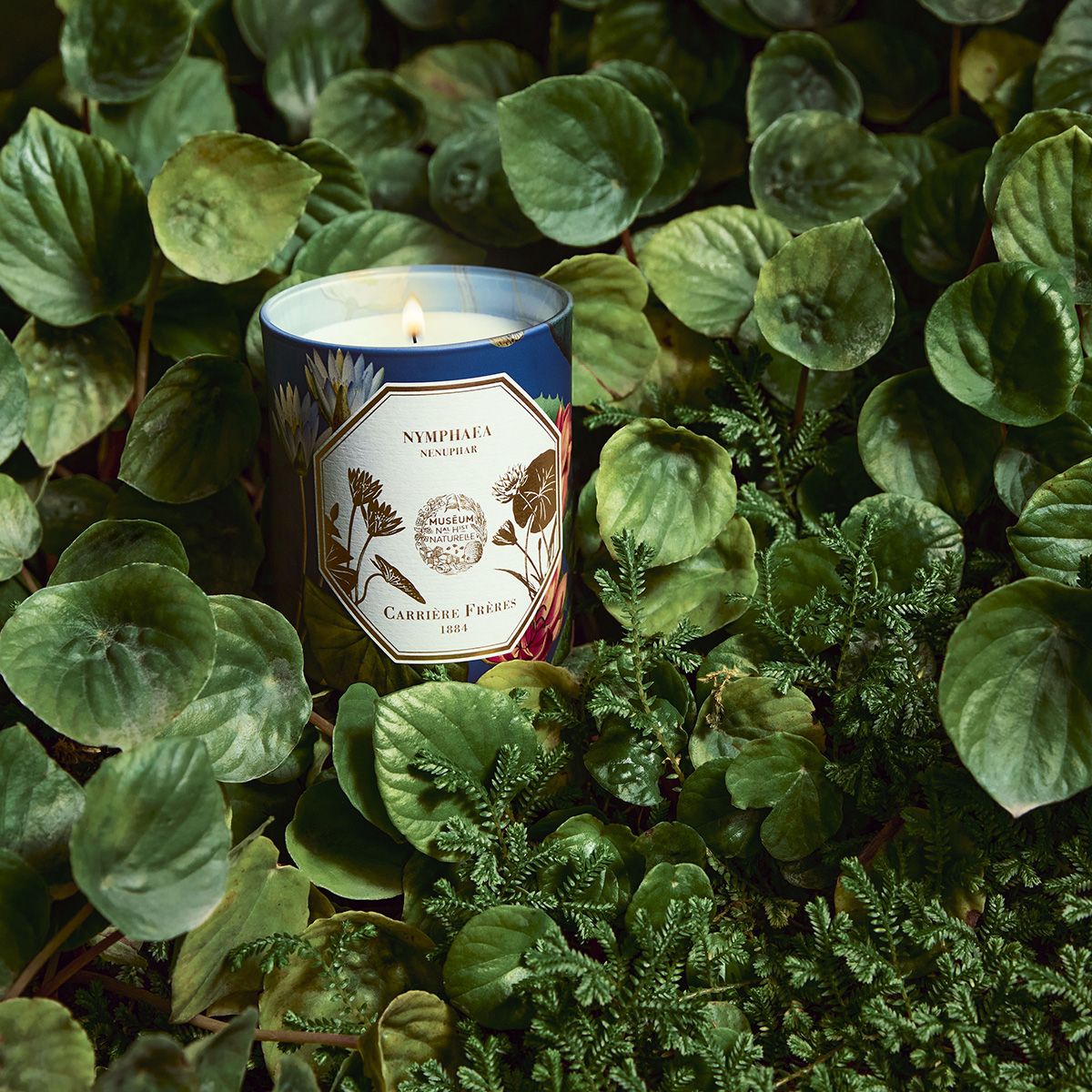 Carrière Frères - Bougie Nenuphar