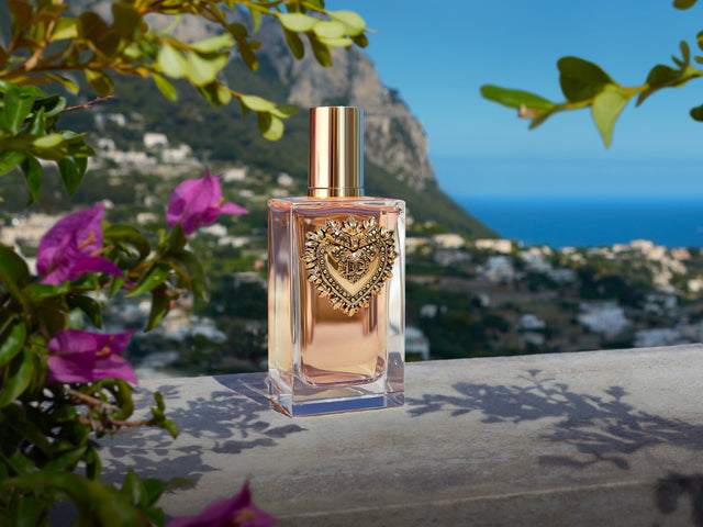 Univers Dolce & Gabbana