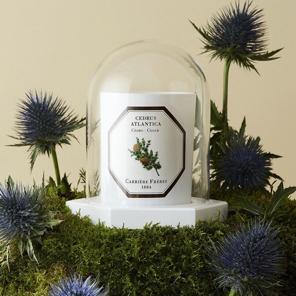 Carrière Frères - Le Dôme