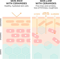 Elizabeth Arden - Suero