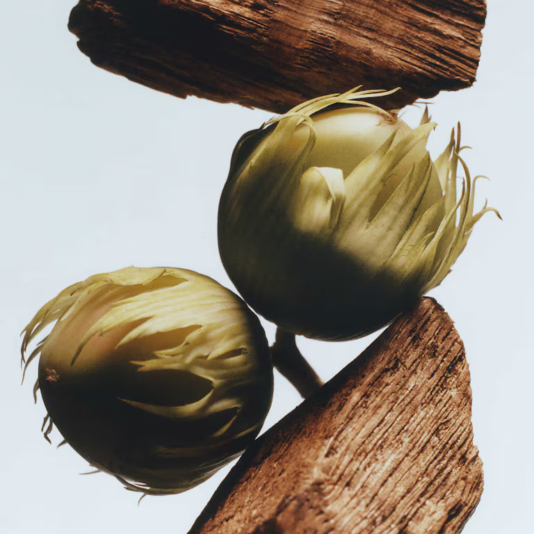 Jo Malone London - English Oak & Hazelnut