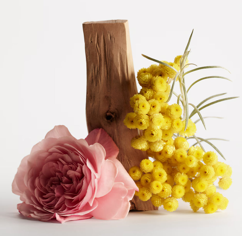 Frédéric Malle - Contre Jour