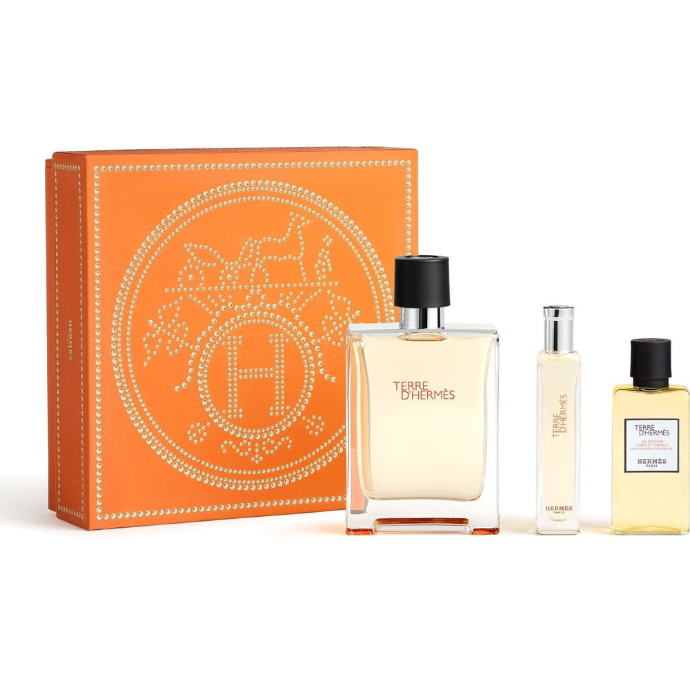 Hermès Terre d'Hermès - Eau de toilette set 100ml