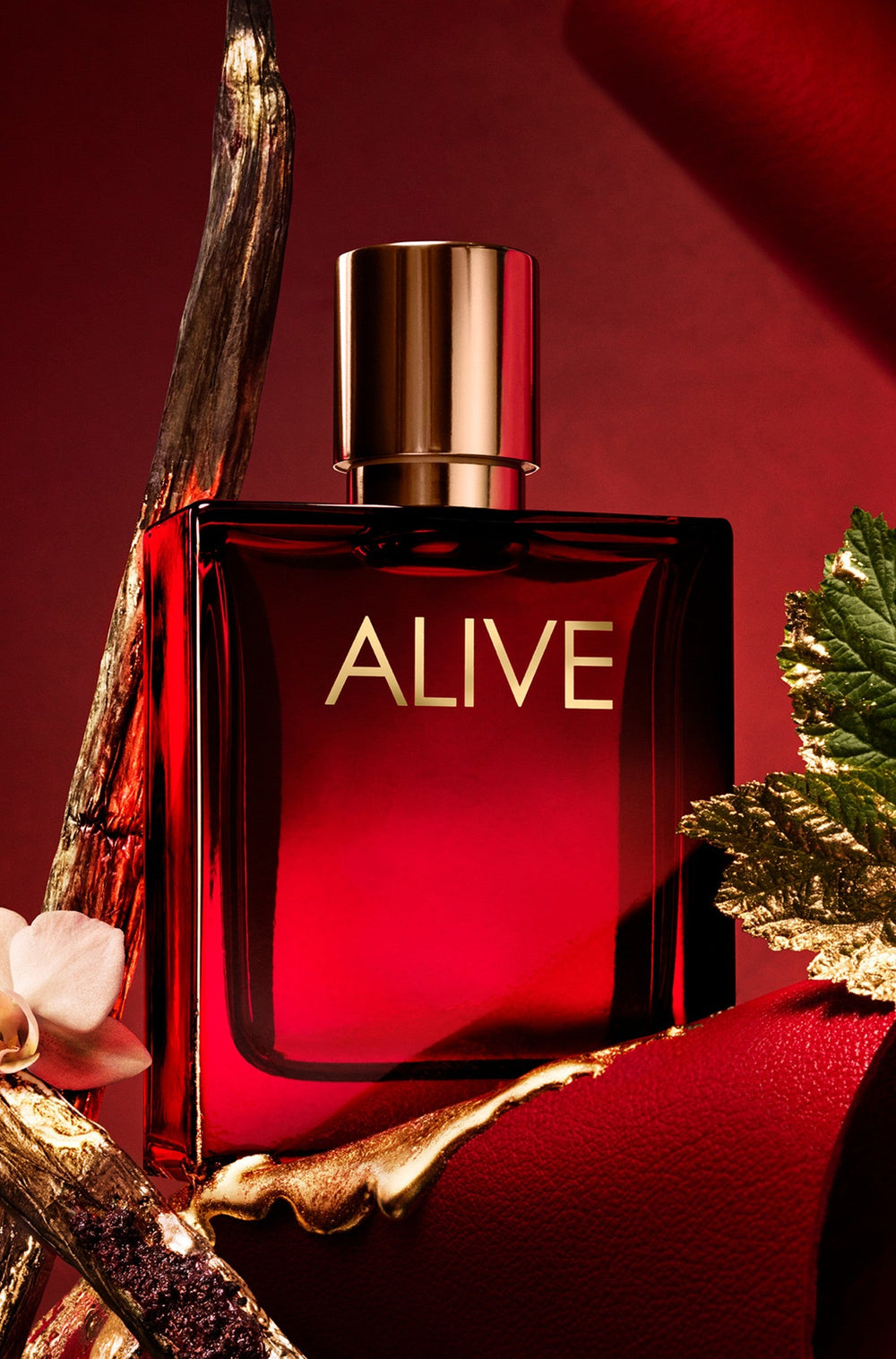 Hugo Boss BOSS Alive Absolu et ses notes olfactives