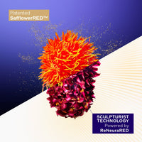 Shiseido Duo Supreme Crema Concentrada