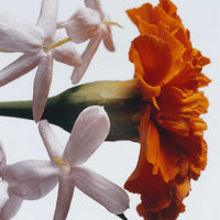 Jo Malone London - Jasmine Sambac & Marigold