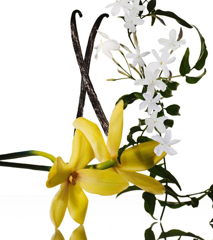 Narciso Rodriguez jasmine musc et ses notes : ylang-ylang, gardénia, jasmin, tubéreuse, musc, vanille, ambre boisé