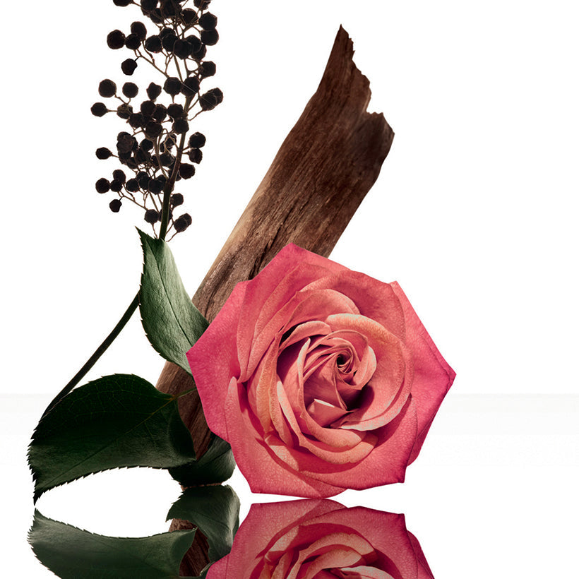 Narciso Rodriguez rose musc et ses notes : cannelle, rose, pivoine, épices, mousse, musc, safran, poivre, patchouli, labdanum, bois