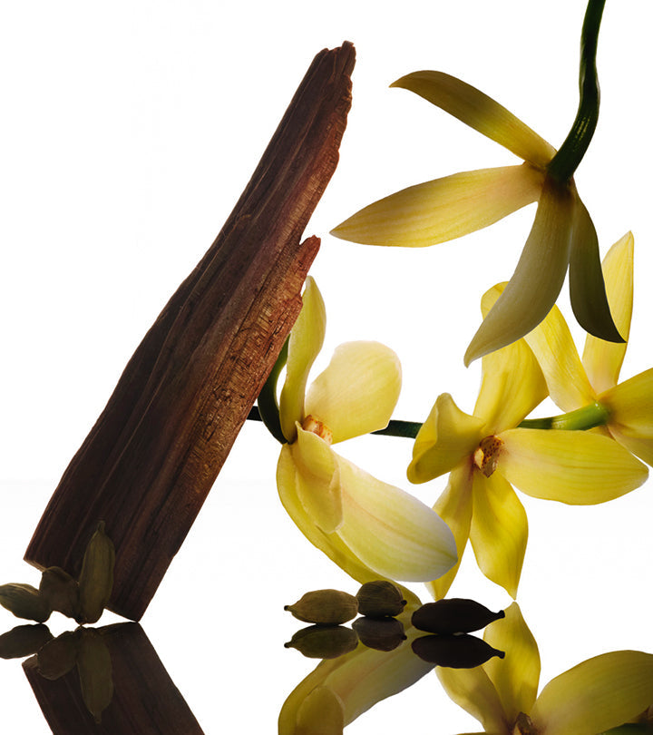 Narciso Rodriguez santal musc et ses notes : ylang-ylang, absolu de cannelle, cœur de musc, bois de santal