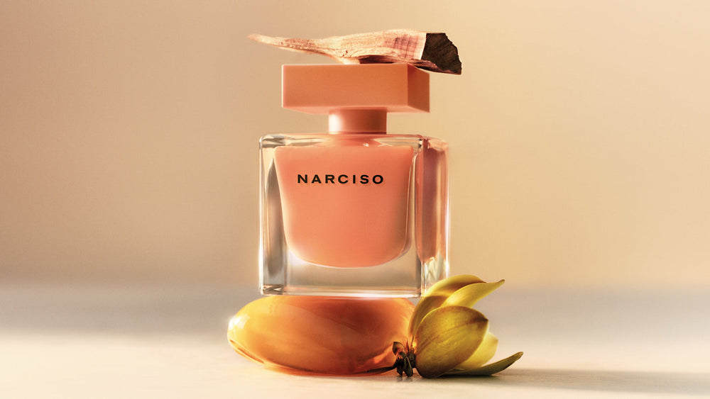 Narciso Rodriguez NARCISO et ses notes : ylang-ylang, fleurs de frangipanier, cœur de musc, ambre, bois de cèdre