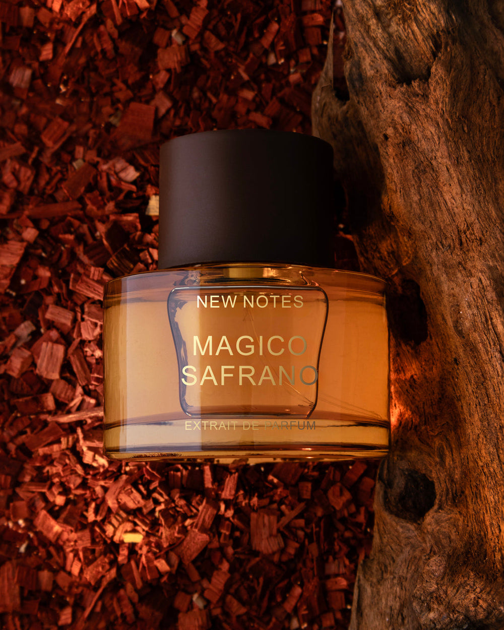 New Notes Magico Safrano et ses notes : safran, poivre rose, mandarine, noix de muscade, cannelle, benjoin, tabac, labdanum, muguet, cuir, mousse, ambre, bois précieux, fève tonka, musc