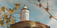 Maison Margiela Autumn Vibes - Eau de toilette