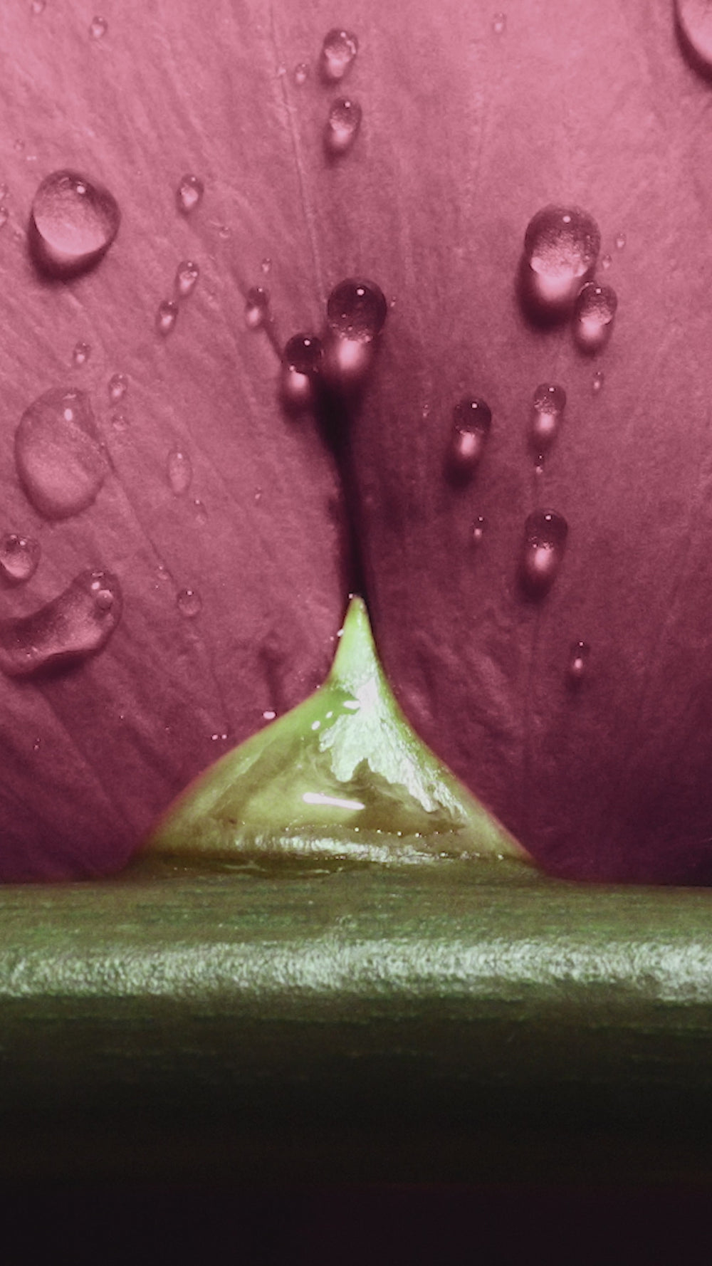 Tom Ford Rose Exposed - Eau de Parfum