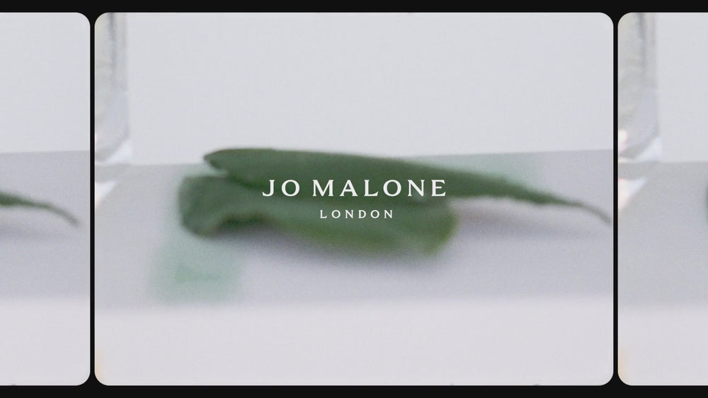 Jo Malone London - Blackberry & Bay