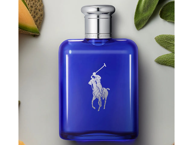 Univers Polo Ralph Lauren