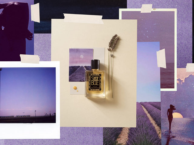 Univers Une Nuit Nomade