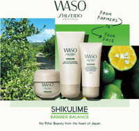 Shiseido Korrigierende Pflege für nicht fettenden Teint SPF30