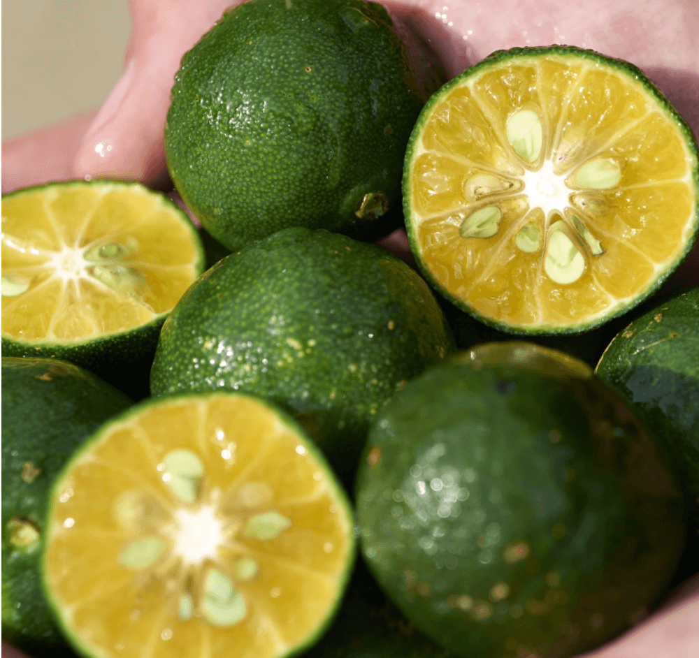 Shiseido Korrigierende Pflege für nicht fettenden Teint SPF30