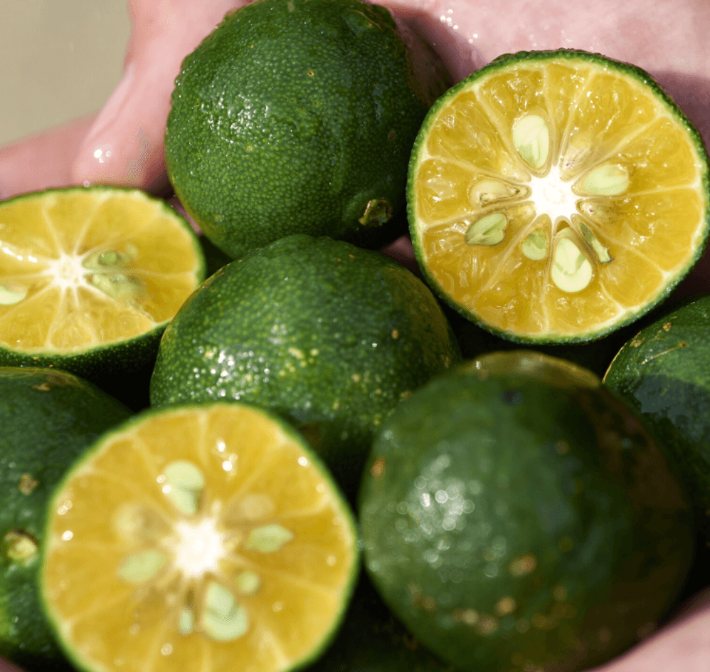 Shiseido Waso Aceite-Gel Limpiador