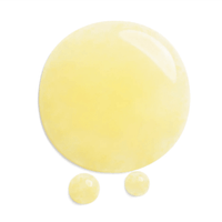 Shiseido Benefiance Sérum Contour Lissant Rides