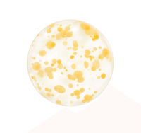 Shiseido Waso Masque De Nuit