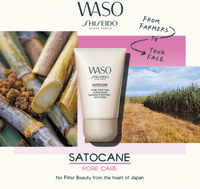 Shiseido Purifying Mask