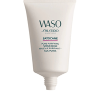 Shiseido Purifying Mask