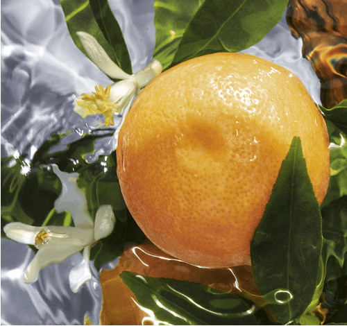 Guerlain Aqua Allegoria Pamplelune - Eau de toilette