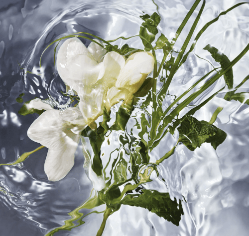 Guerlain Aqua Allegoria Herba Fresca - Eau de toilette