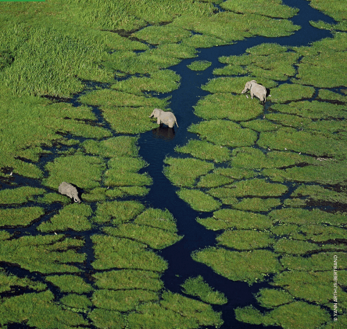 Guerlain Aqua Allegoria Herba Fresca - Eau de Toilette-Parfümerie Olara-1