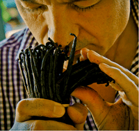 Guerlain Shalimar - Agua de perfume