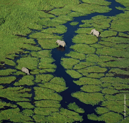 Guerlain Aqua Allegoria Orange Soleia - Eau de toilette