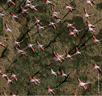 Guerlain Aqua Allegoria Rosa Rossa - Agua de colonia