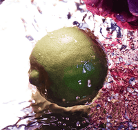 notes olfactives la petite robe noire