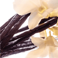 Guerlain Shalimar - Eau de Toilette