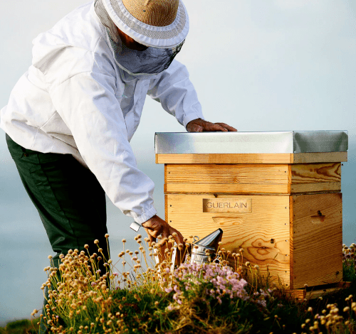 Guerlain AR - Contorno de ojos