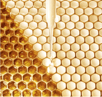 Guerlain Abeille Royale - Lotion