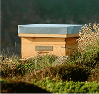 Guerlain Abeille Royale - Lotion