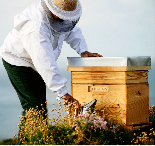 Guerlain Abeille Royale - Daily Repair Serum-Parfumerie Olara-1