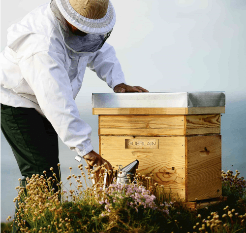 Guerlain Abeille Royale - Huile Démaquillante