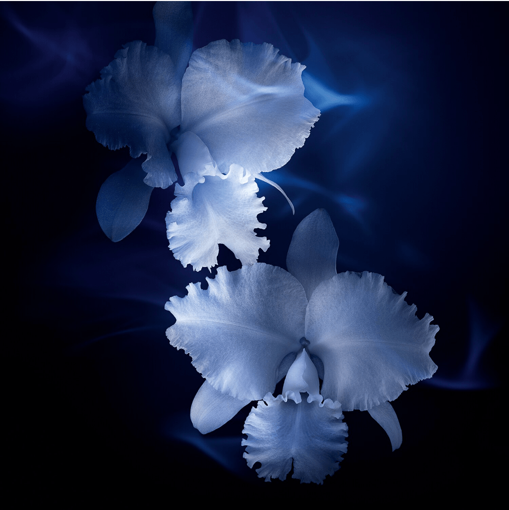 Guerlain Orchidée Impériale - La Loción-Esencia