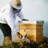 Guerlain Abeille Royale - Handhygiene- & Sanftheitsgel