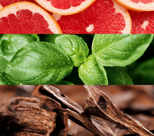 Lacoste Booster - Eau de toilette