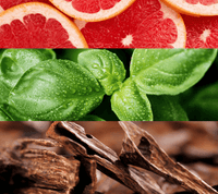 Lacoste Booster - Eau de toilette