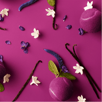 Lacoste L.12.12 Magnetic Pour Elle - Eau de parfum olfactive notes