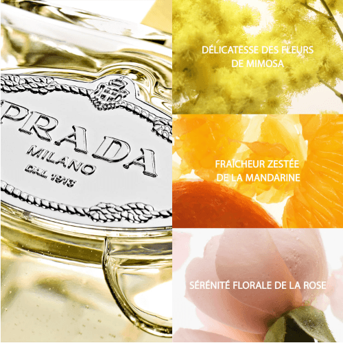 Prada Les Infusions de Prada - Mimosa - Eau de parfum-Parfumery Olara-1